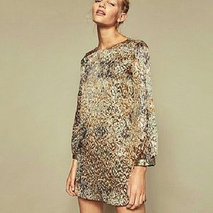 Gold Lame Mod-style Zara Dress